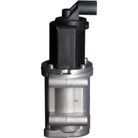 AGR-Ventil 703232