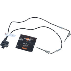 Sensor, Abgastemperatur 707379