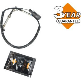 Sensor, Abgastemperatur 707571