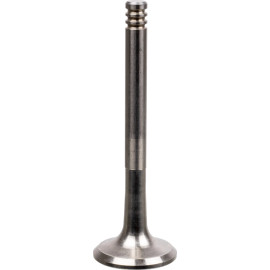 FEBI BILSTEIN 19974 Auslassventil FEBI BILSTEIN 19974 Auslassventil