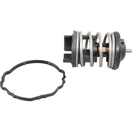 Thermostat, Kühlmittel 4006306