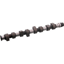 FEBI BILSTEIN 10009 Nockenwelle FEBI BILSTEIN 10009 Nockenwelle