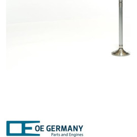 6x Einlassventil für MAN E0834... E0836... 51.04101.0588 OEGERMANY 020520E08300 6x Einlassventil für MAN E0834... E0836... 51.04101.0588 OEGERMANY 020520E08300