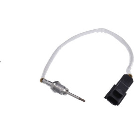 Sensor, Abgastemperatur 369036