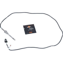 Sensor, Abgastemperatur 707102