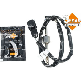 Sensor, Abgastemperatur 707505