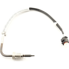 Sensor, Abgastemperatur 9 8006 1