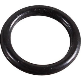 Dichtring 2430055