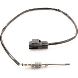 Sensor, Abgastemperatur 9 8114 1