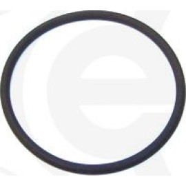 Dichtring 487.450