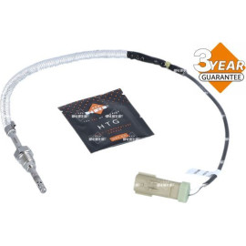 Sensor, Abgastemperatur 707400