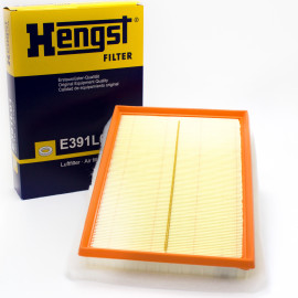 Luftfilter E391L01