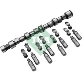 Nockenwellensatz 428 0043 30 Nockenwellensatz 428 0043 30