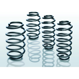 Fahrwerksatz, Federn E1013-240
