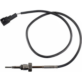 Sensor, Abgastemperatur 08941084