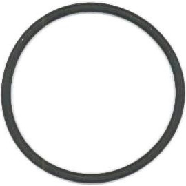 Dichtring 703.087