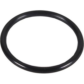 Dichtring, Lader 2430159 Dichtring, Lader 2430159