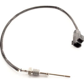 Sensor, Abgastemperatur 9 8119 1