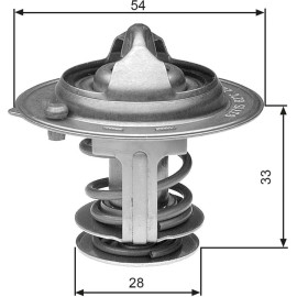Thermostat, Kühlmittel TH29882G1