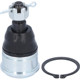 FEBI BILSTEIN 177745 Trag-/Führungsgelenk FEBI BILSTEIN 177745 Trag-/Führungsgelenk