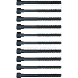 Zylinderkopfschraubensatz 14-32378-01