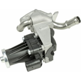 AGR-Ventil 0892621