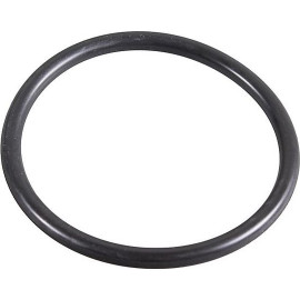 Dichtring 2430031