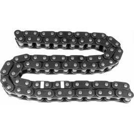 Steuerkette 553 0250 10