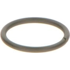 Dichtring F 00V C23 002