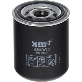Filter, Arbeitshydraulik H300W10 Filter, Arbeitshydraulik H300W10