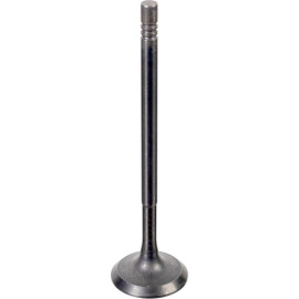 FEBI BILSTEIN 176538 Einlassventil FEBI BILSTEIN 176538 Einlassventil