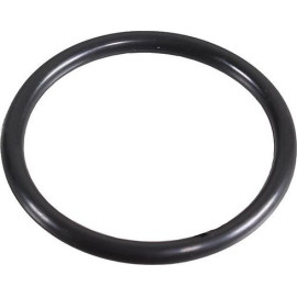 Dichtring 2430067