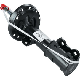 Stoßdämpfer 316 980