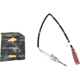 Sensor, Abgastemperatur 707547