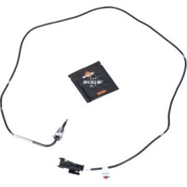 Sensor, Abgastemperatur 707333