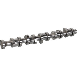 FEBI BILSTEIN 176784 Nockenwelle FEBI BILSTEIN 176784 Nockenwelle