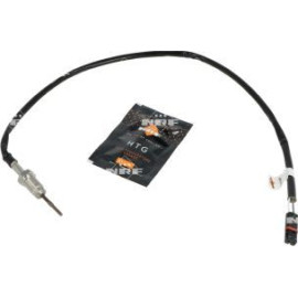Sensor, Abgastemperatur 707446