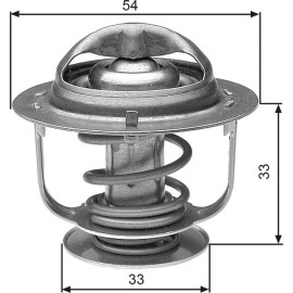Thermostat, Kühlmittel TH30888G1