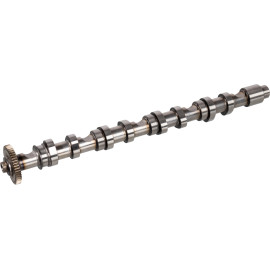 FEBI BILSTEIN 171969 Nockenwelle FEBI BILSTEIN 171969 Nockenwelle