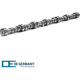 Nockenwelle für DAF 1 309 623 OEGERMANY 060500116000 Nockenwelle für DAF 1 309 623 OEGERMANY 060500116000