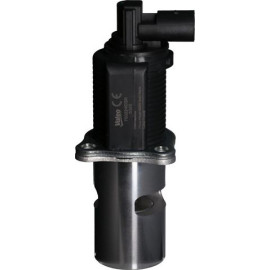 AGR-Ventil 703224