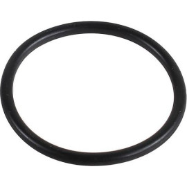 Dichtring 2430007
