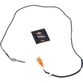 Sensor, Abgastemperatur 707057