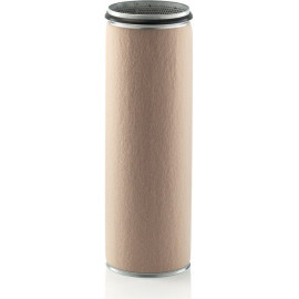 Sekundärluftfilter CF 2100