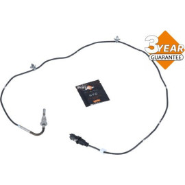 Sensor, Abgastemperatur 707185