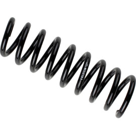 Fahrwerksfeder 36-259595