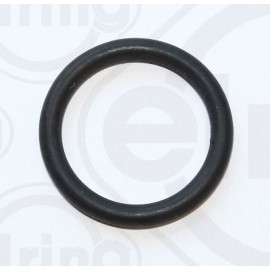 Dichtring 303.340