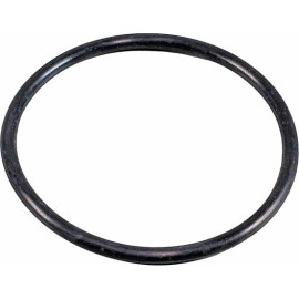 Dichtung, Thermostatgehäuse 4010518