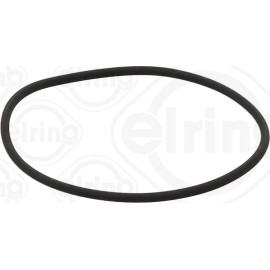 Dichtring 584.630