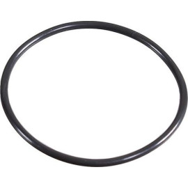 Dichtring 2430058